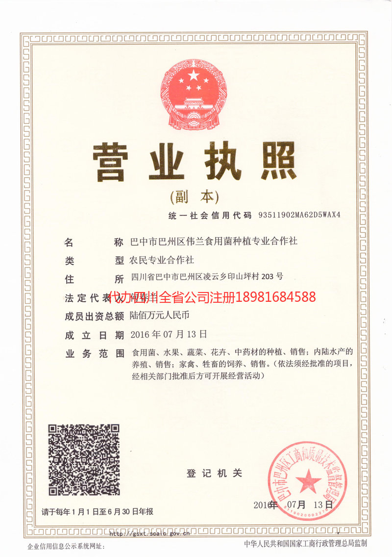 邳州邳州伟兰食用菌种植专业合作社